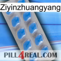 Ziyinzhuangyang 22